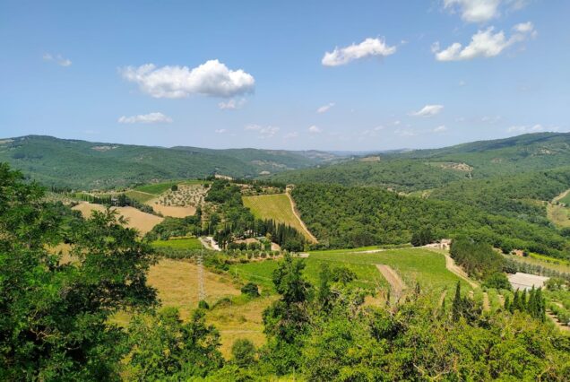 Alla scoperta del Chianti Fiorentino in Vespa con pranzo