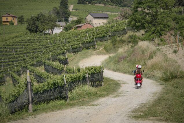 La strada del prosecco in Vespa con degustazione (Conegliano)