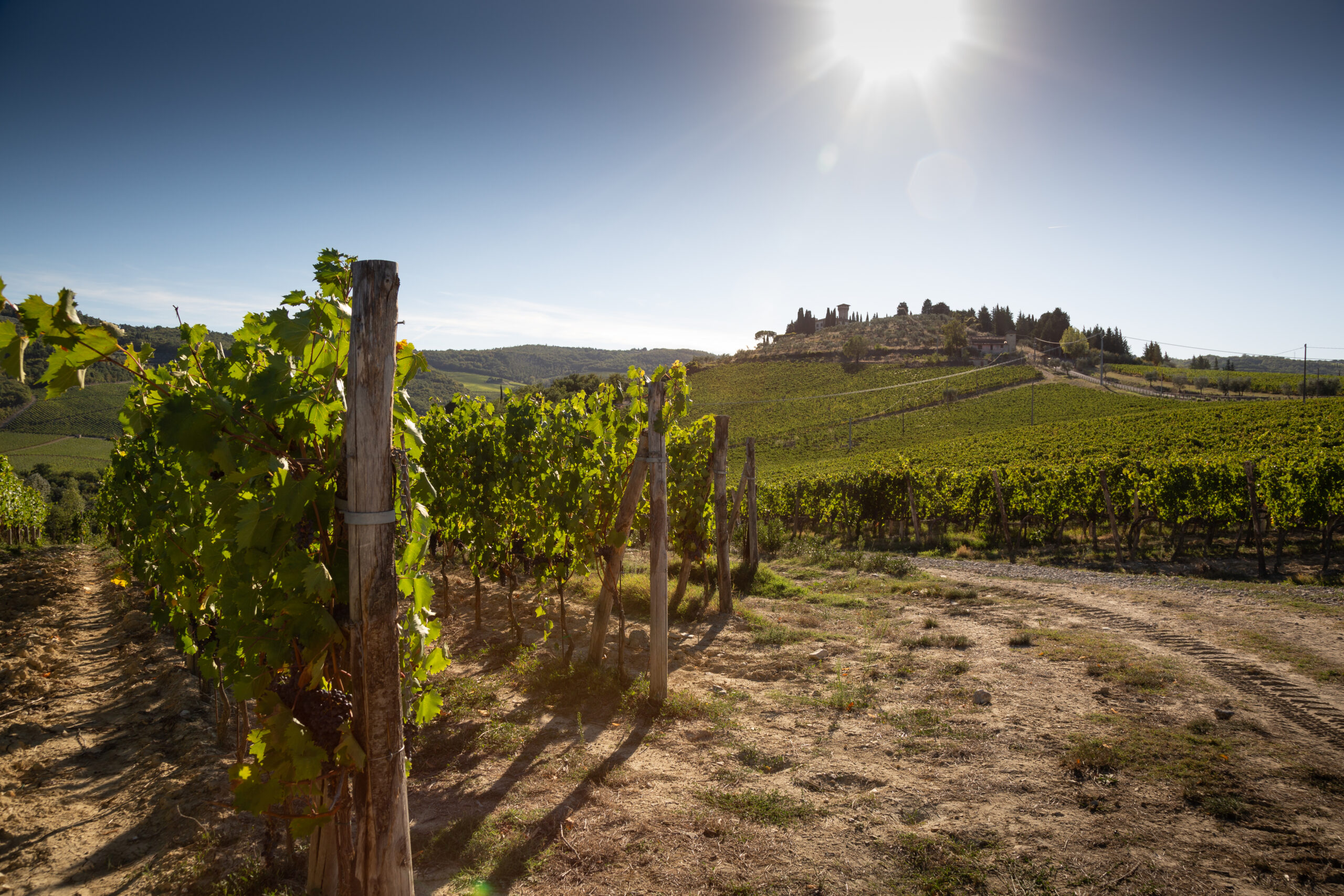 Castello Vicchiomaggio