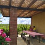 Ciabot_Mombirone_1-1-150x150