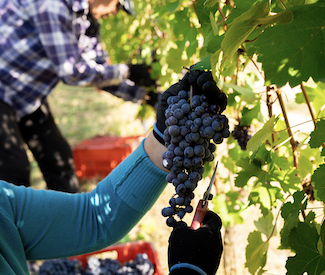 Screenshot 2024-05-14 alle 10.29.03