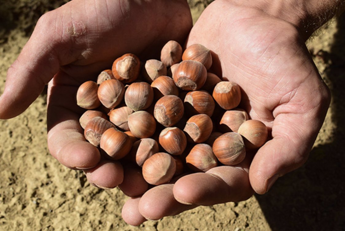 Screenshot 2024-05-23 alle 17.42.51