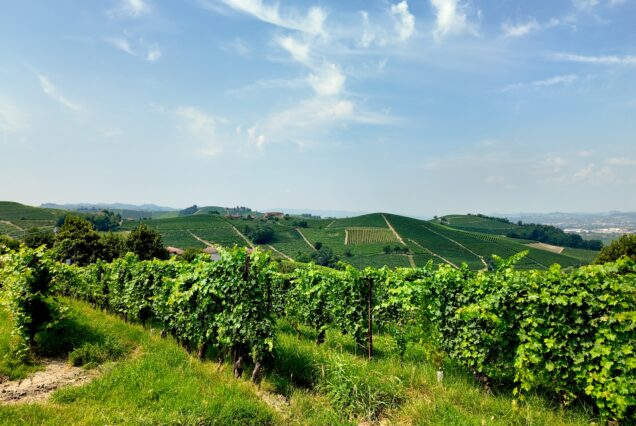 Discovering Lake Como by Vespa (Copia)