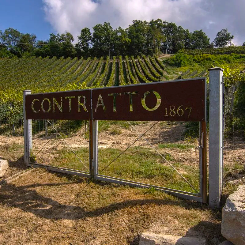 contratto-storia-foto6-800x800.jpg copia