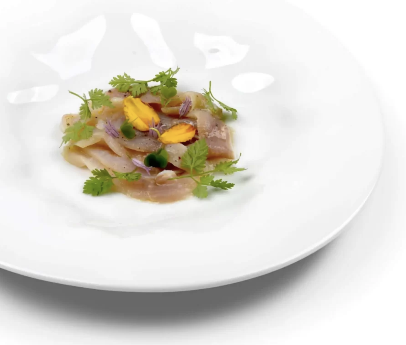 Locanda del Pilone Tour in Vespa