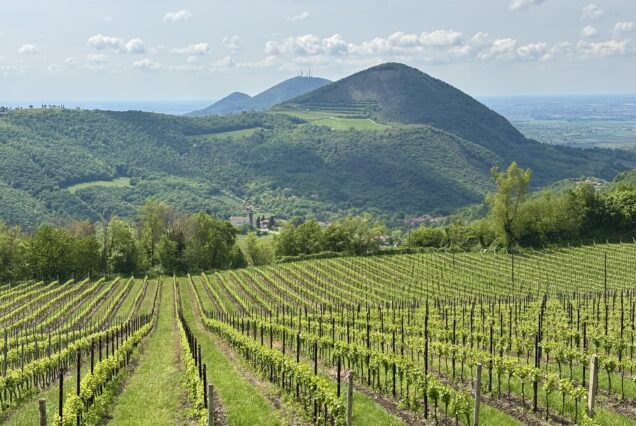 Tour dei Colli Euganei in Vespa con pranzo