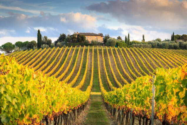 Vespa Weekend in the Florentine Chianti