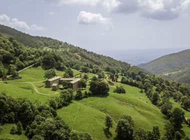 240717_Maffione_0534