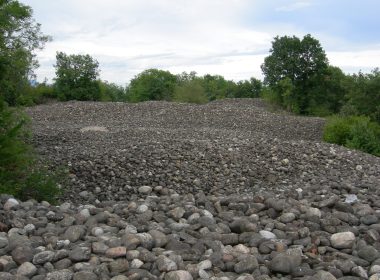 PictureTakenAtTheBessaRegionalParkBiella