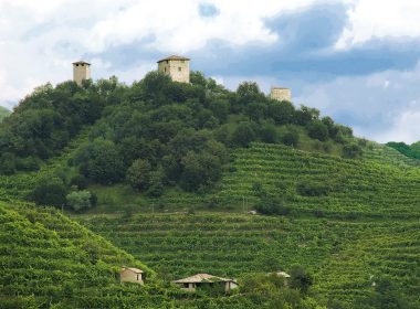 Prosecco-Docg-scaled