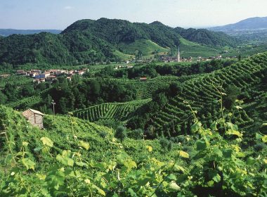 Prosecco-Valley