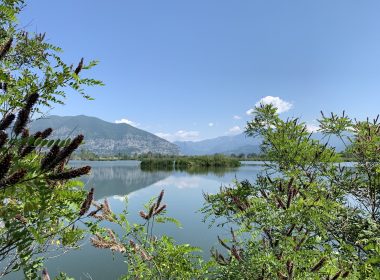 Torbiere_del_Sebino_1