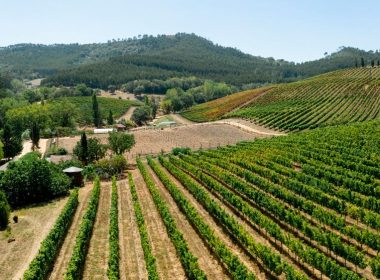 Vespa Tour in the Langhe or Chianti which to choose