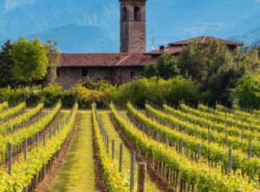 franciacorta_Google_1920-300x300