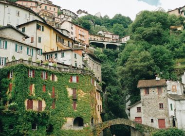 pexels-mlkbnl-27221292